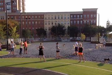Clarendon Dog Park